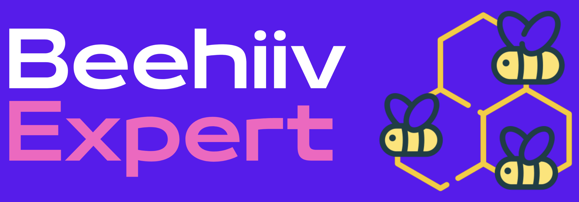 Beehiiv Expert Logo